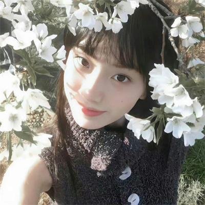 甜木兰第三季